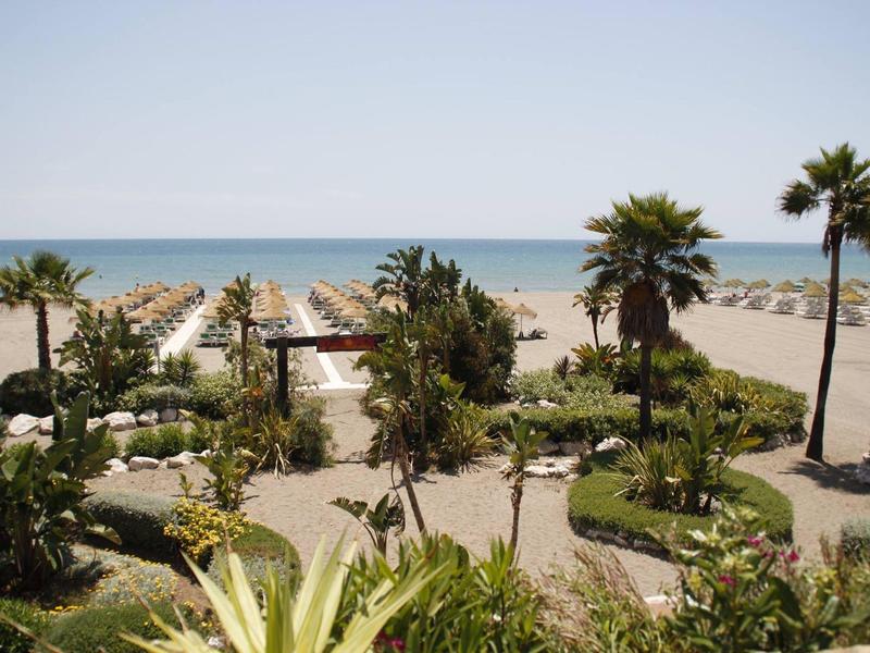 Strand mit Palmen, Sonnenschirmen und grasbewachsenen Wegen unter blauem Himmel am Meer.