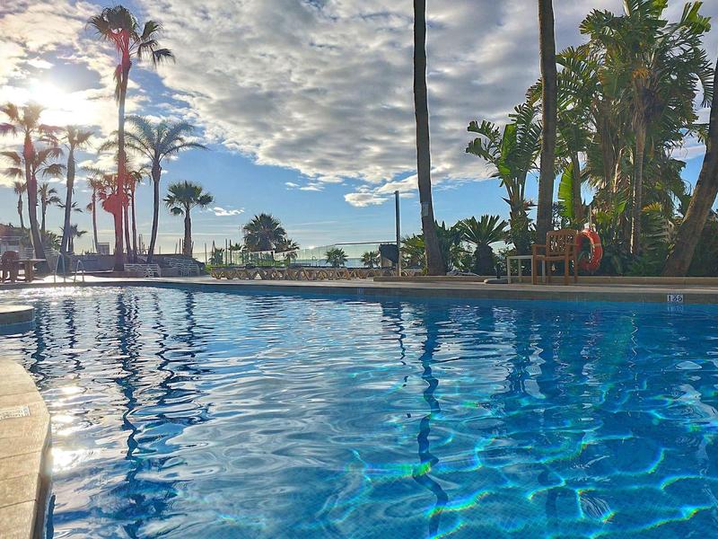 Blick auf einen blauen Pool mit Palmen und bewölktem Himmel im Hintergrund bei Sonnenuntergang.