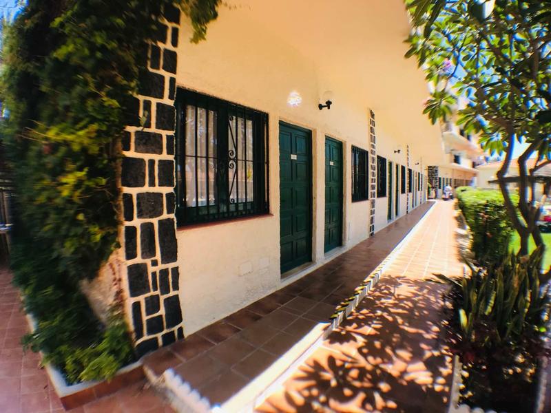 Außenansicht eines Gebäudes mit gelben Wänden, grünen Türen und Fenstern sowie Pflanzen am Weg.