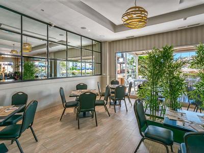 Moderner Gastraum mit grünen Stühlen, Holzfußboden, großen Fenstern und vielen Pflanzen.