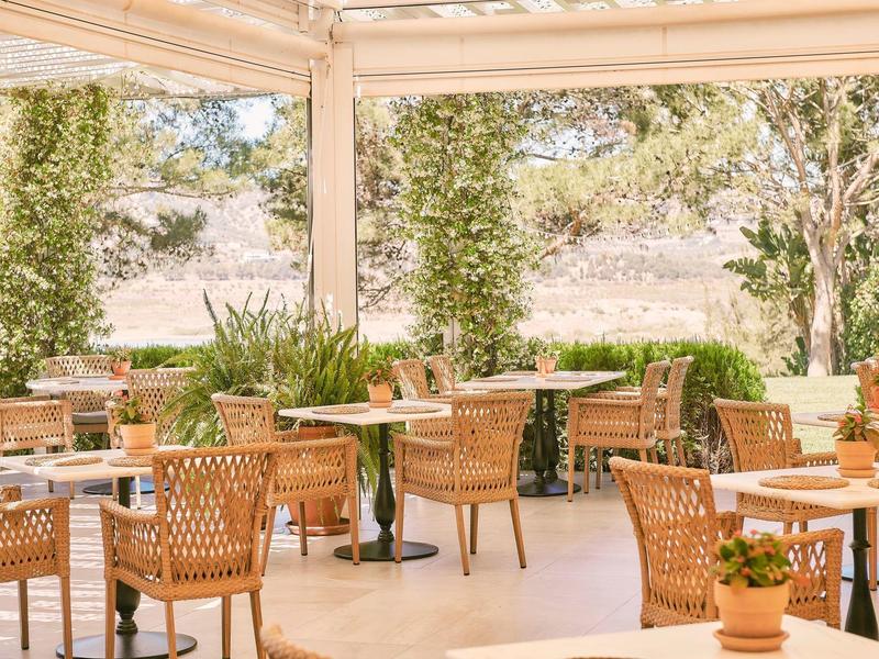 Helle Terrasse mit Flechtstühlen, Holztischen und grünen Pflanzen in Töpfen und im Hintergrund.