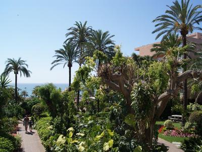 Weg durch einen tropischen Garten mit Palmen und grünen Pflanzen bei klarem Himmel.