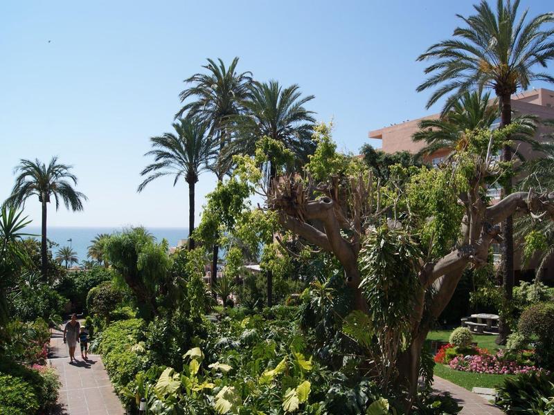 Weg durch einen tropischen Garten mit Palmen und grünen Pflanzen bei klarem Himmel.