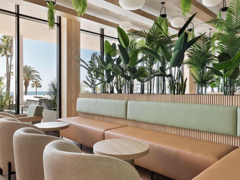 Hell eingerichtetes Café mit grünen Pflanzen, bequemen Stühlen und Tischen vor großen Fenstern.