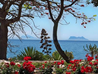 Blick aufs Meer mit Insel im Hintergrund, davor rote und weiße Blumen und Bäume am Ufer.