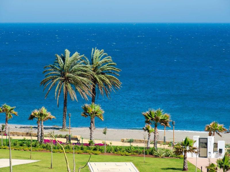 Strand mit blauen Meer, mehreren Palmen und grünem Gras im Vordergrund an einem sonnigen Tag.