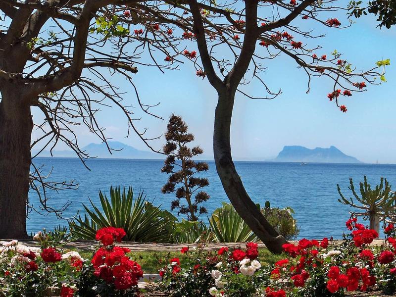 Blick aufs Meer mit Insel im Hintergrund, davor rote und weiße Blumen und Bäume am Ufer.