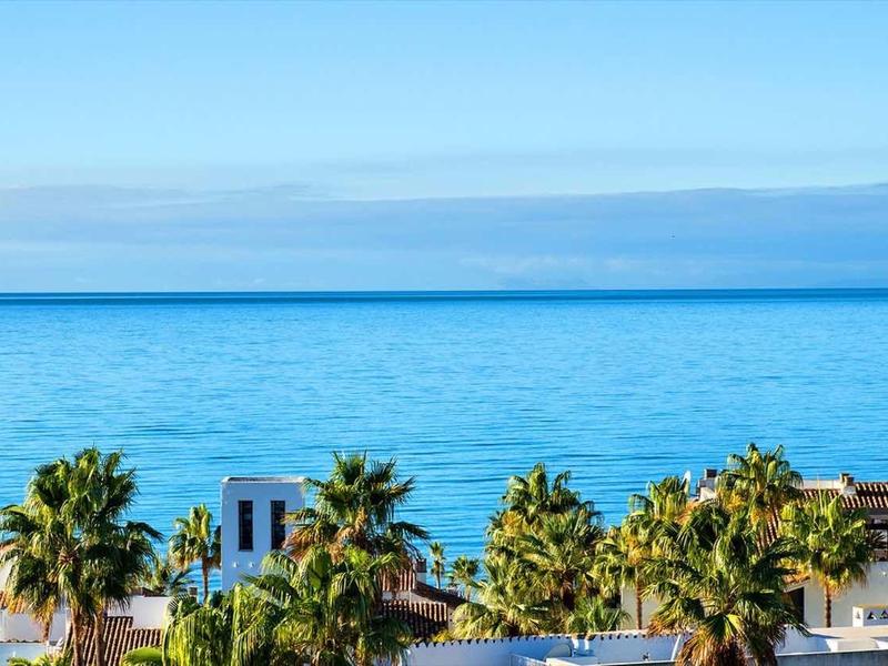 Klares blaues Meer und Himmel mit Palmen und weißen Gebäuden im Vordergrund.