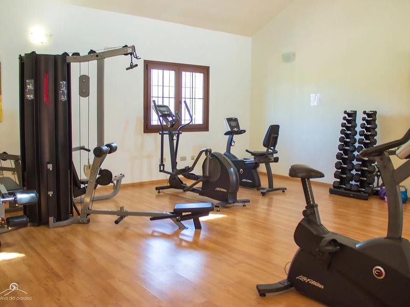 Innenraum eines Fitnessraums mit Holzfußboden, Cardio-Geräten, Hanteln und Kraftmaschinen.