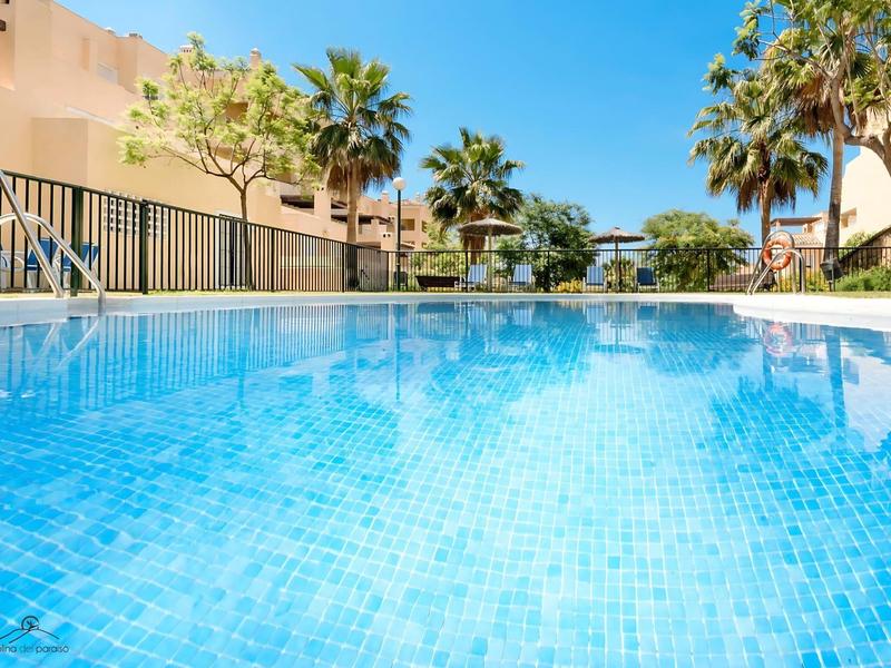 Blauer Swimmingpool mit klarem Wasser, umgeben von Palmen und Gebäuden unter blauem Himmel.