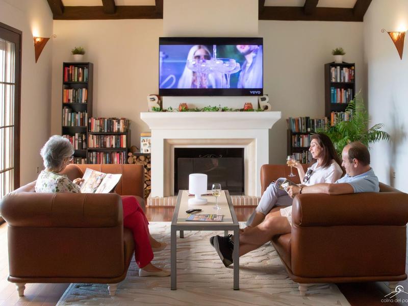 Drei Personen sitzen auf braunen Sofas vor Kamin und Fernseher in gemütlichem Wohnzimmer.