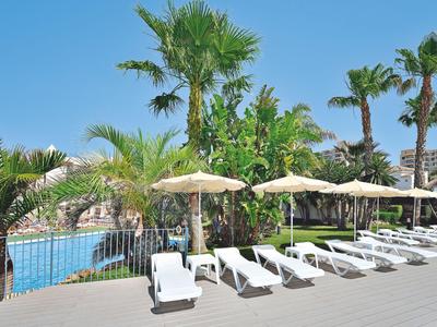 Fila di lettini bianchi e ombrelloni accanto a una piscina con palme.