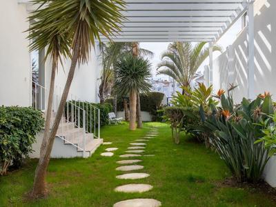 Grüner Garten mit runden Steinen als Weg, Palmen und modernen weißen Gebäuden bei blauem Himmel.