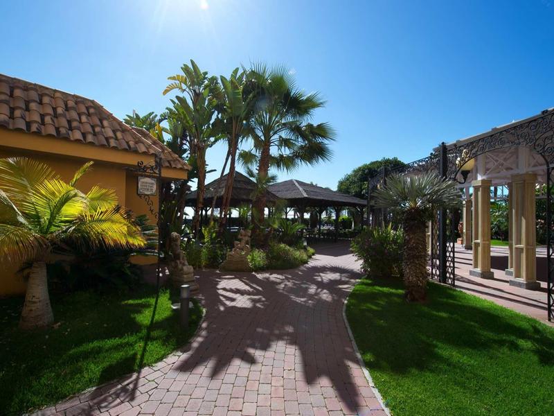 Ein Garten mit Palmen, gelben Gebäuden und steinigen Gehwegen unter blauem Himmel.