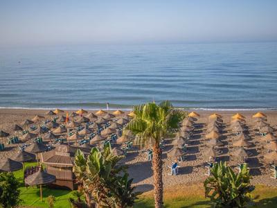 Spiaggia con ombrelloni e sedie, palme in primo piano, mare calmo sullo sfondo.