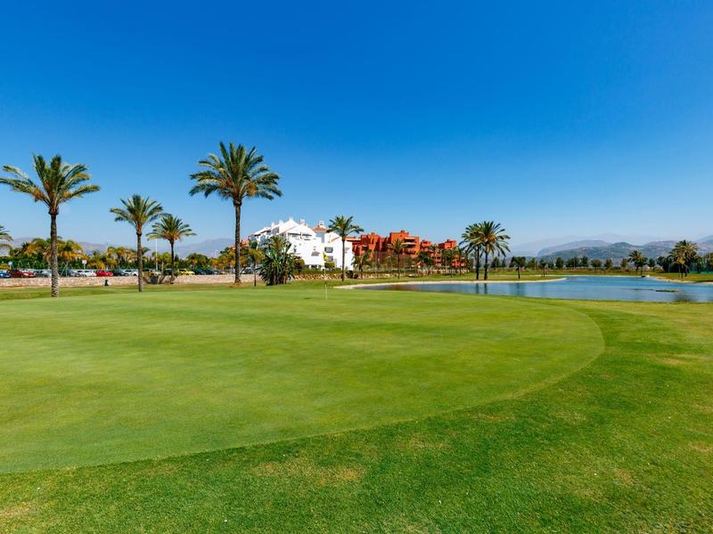Grüner Golfplatz mit Palmen und klarem blauem Himmel an einem sonnigen Tag