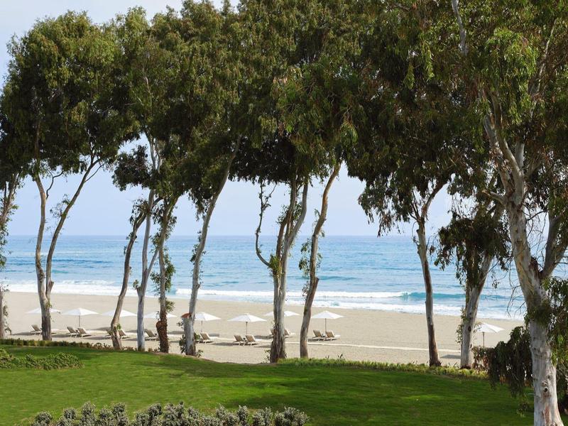 Grüne Wiese mit linden Bäumen am Strand, dahinter blauer Ozean und wolkiger Himmel.