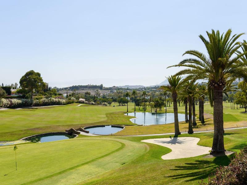 Ein heller Golfplatz mit grünen Rasenflächen, Palmen, Sandbunkern und einem kleinen Wasserhindernis.