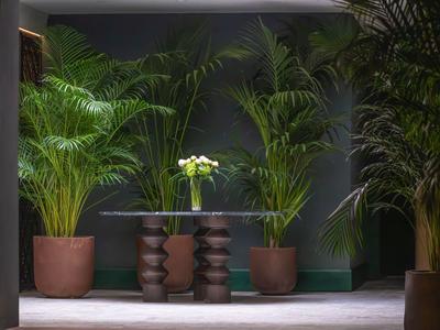 Moderner Raum mit tropischen Pflanzen und einem Glas-Tisch mit Blumen in Blumentöpfen.