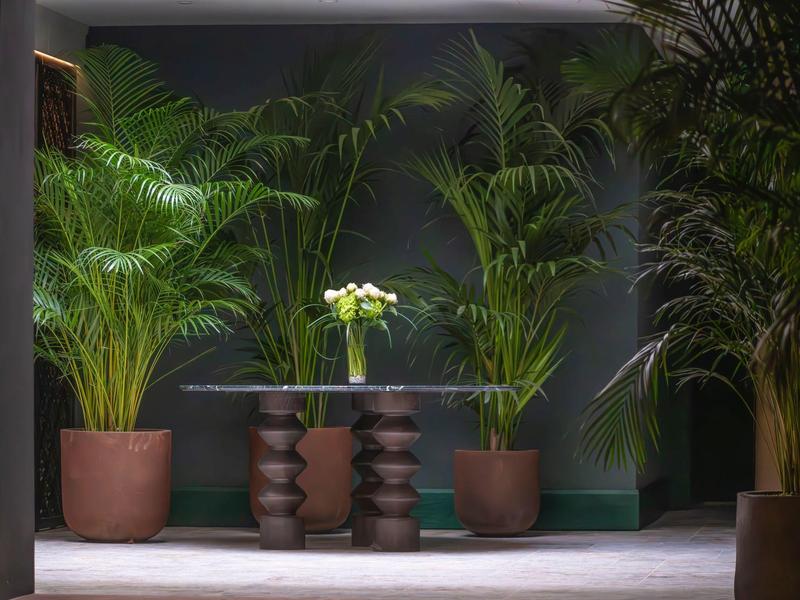 Einfaches modernes dunkles Zimmer mit grünen Pflanzen und Glastisch mit Blumen.