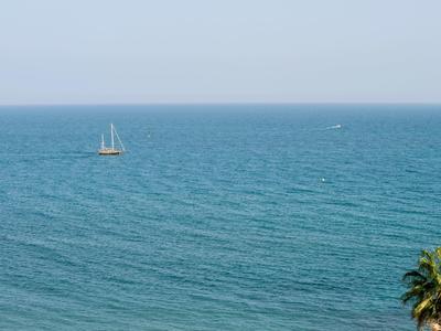 Ein Segelboot auf ruhigem, blauem Meer, am rechten Bildrand eine grüne Palmenkrone.