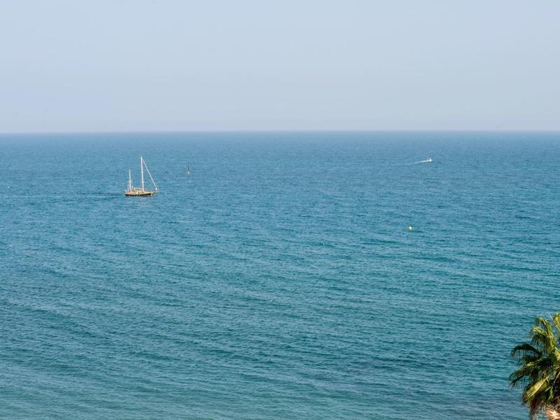 Ein Segelboot auf ruhigem, blauem Meer, am rechten Bildrand eine grüne Palmenkrone.