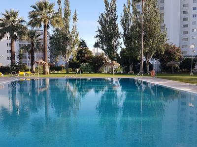 Klares Schwimmbecken in einer gepflegten Gartenanlage mit Palmen und Hochhäusern im Hintergrund.