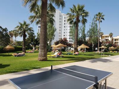 Hotelgarten mit Palmen, Liegestühlen und einem Tischtennistisch im Vordergrund