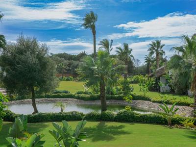Giardino verde con palme, alberi e acqua sotto un cielo blu con nuvole