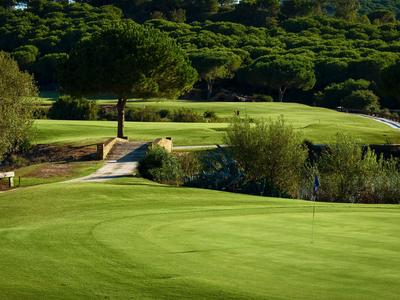 Campo da golf verde e ben curato con alberi e un piccolo sentiero sullo sfondo.
