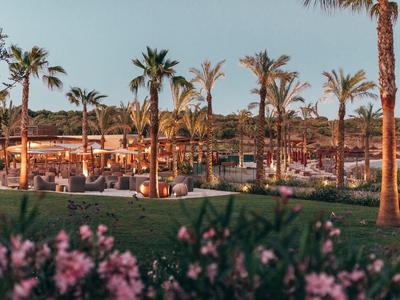 Area dell'hotel con palme, lettini e prato verde al tramonto.