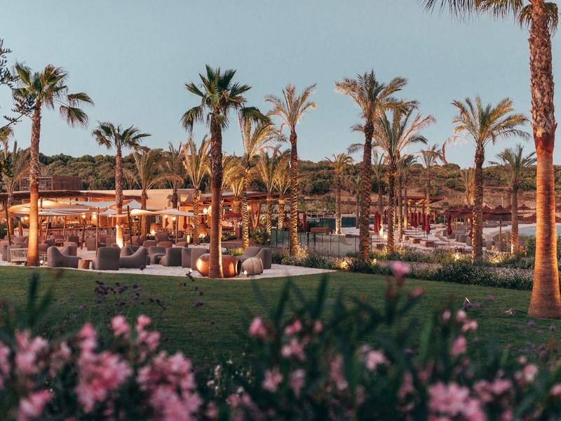 Grüne Wiese mit Palmen und Sitzbereichen vor einem Gebäude unter blauem Himmel.