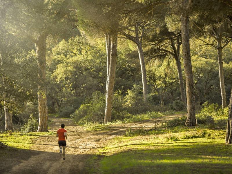 Waldweg mit Bäumen und Person in rotem T-Shirt, die im weichen Sonnenlicht läuft.