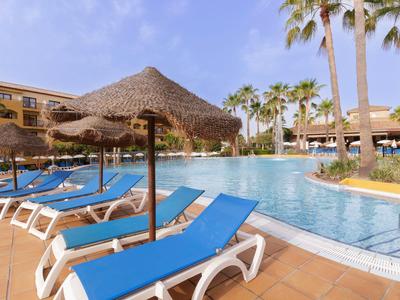 Hotel pool with blue loungers and palm trees under clear sky