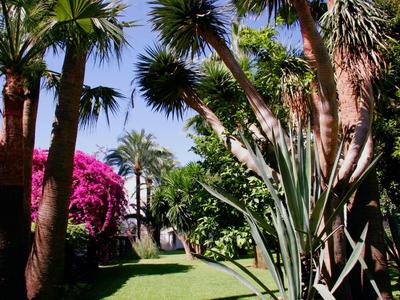 Grüner Garten mit Palmen und blühenden Büschen neben einem Hotelgebäude.
