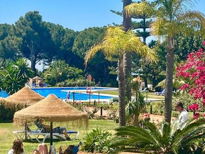 Grüne Gartenanlage mit Palmen, Sonnenschirmen, Liegestühlen und blauem Pool im Hintergrund.