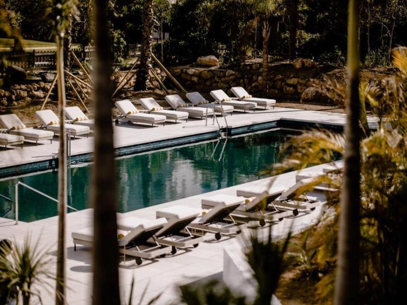 Rechteckiger Pool mit weißen Liegestühlen, umgeben von Bäumen und natürlicher Vegetation.