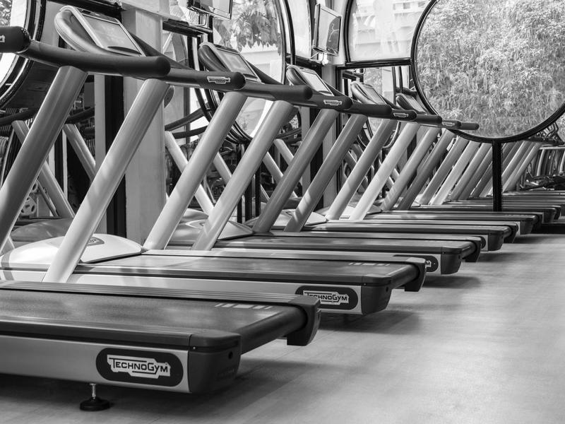 Reihe mehrerer Laufbänder in einem Fitnessstudio mit großen Fenstern und Blick ins Freie.