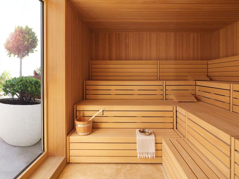 Sauna luminosa in legno con panche e vista su giardino con piante in vaso.