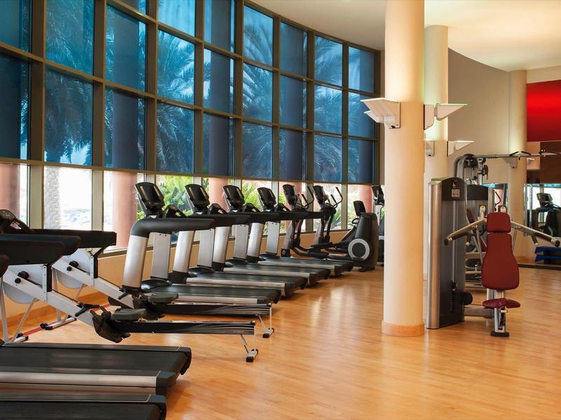 A modern gym with treadmills and weight machines, large windows with an outdoor view.