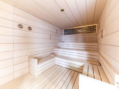 Helle Holzsauna mit mehrstufigen Sitzbänken und Rückenlehne, sauber und modern gestaltet.