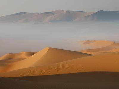 Golden sand dunes with misty mountains in the background under soft light.