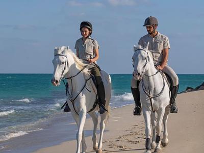 Deux personnes montent des chevaux blancs le long de la plage sous un ciel dégagé.