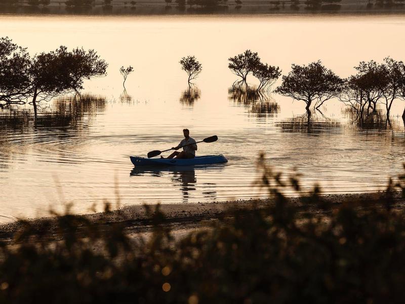 Einzelne Person rudert im Kajak auf ruhigem Wasser mit verstreuten Bäumen bei Sonnenuntergang.