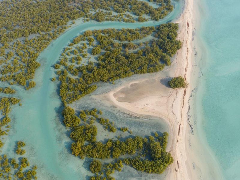 Luftaufnahme eines verschlungenen Flussarms, der durch grüne Vegetation zu einem sandigen Strand mit türkisfarbenem Wasser führt.