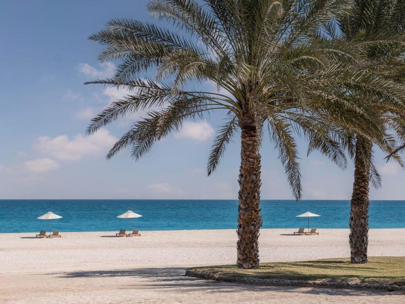 Empty sandy beach with palm trees and sun umbrellas by the sea under clear sky.