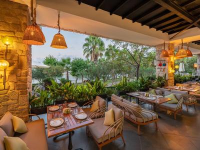 Terrasse extérieure confortable avec mobilier en bois donnant sur un jardin avec des palmiers.