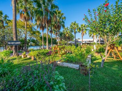 Espace jardin vert avec palmiers et bancs en bois sous un ciel bleu près d'un hôtel.
