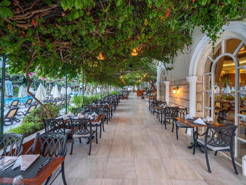 Terrasse de restaurant couverte avec arbres ombrageants, tables et chaises.