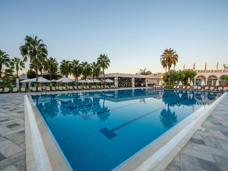 Piscine vide avec de l'eau bleue, entourée de chaises longues et de palmiers sous un ciel clair.